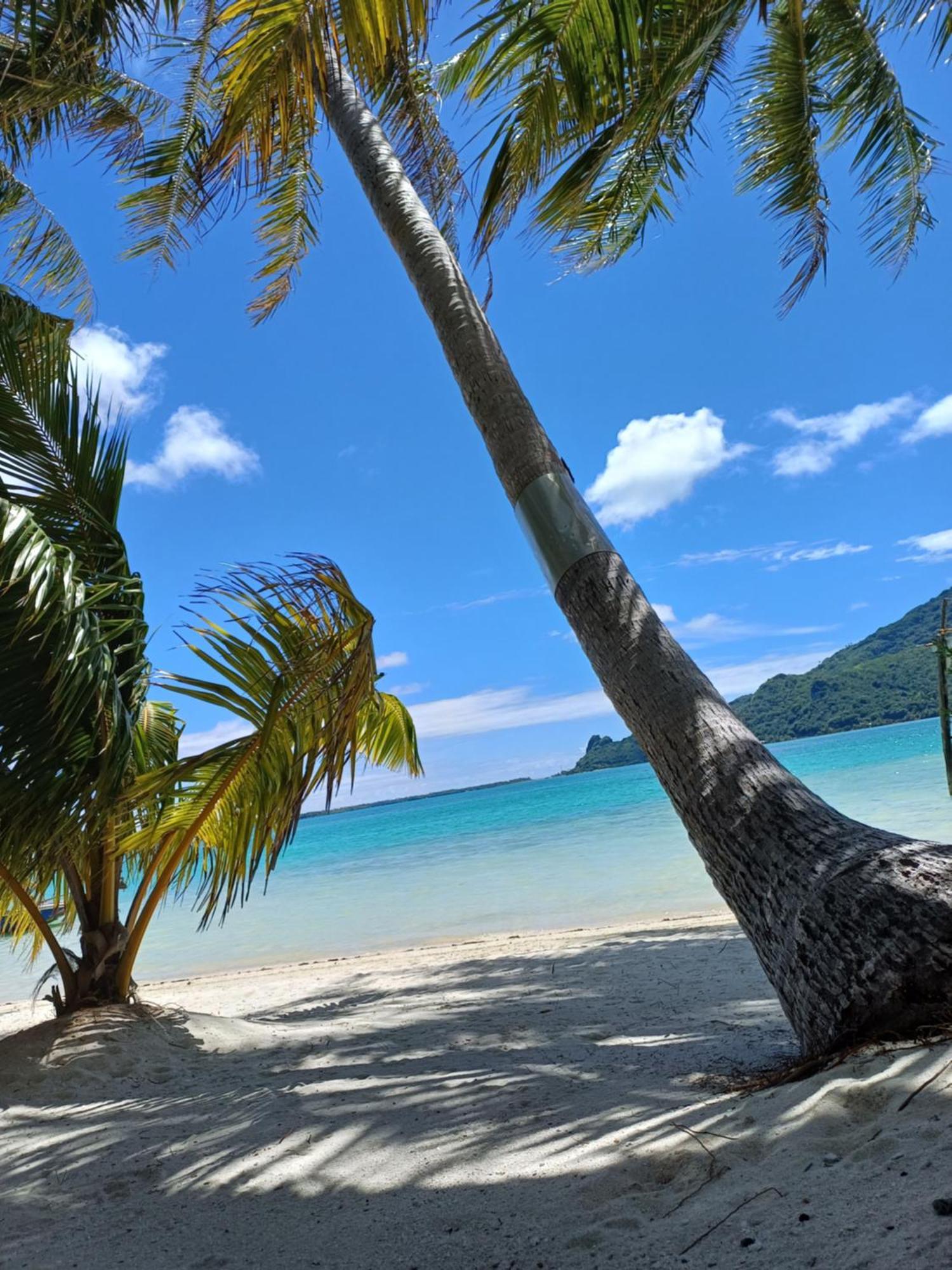 Poemanahere Island Camping A Maupiti Te-Fare-Arii Exterior photo